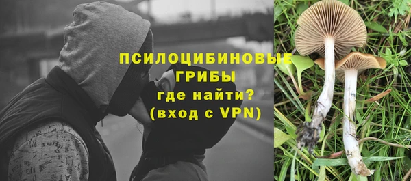 твердый Медногорск