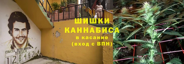 2c-b Яровое