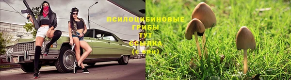гашик Тында
