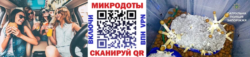 Псилоцибиновые грибы MAGIC MUSHROOMS  сколько стоит  Руза 